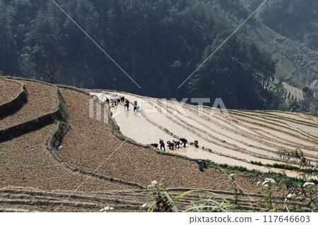 越南 Mu Kan Chai 充滿水的水稻梯田 117646603
