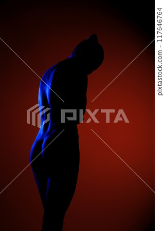 Silhouette of a figure against a red and blue backdrop 117646764