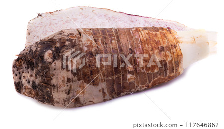 slice of taro root isolated on a white background. 117646862