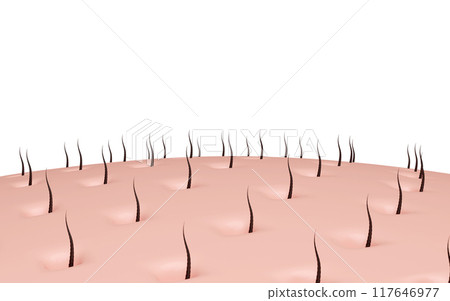 3d hair care with shampoo or serum for hair loss isolated. hair growth concept, 3d illustration render 117646977