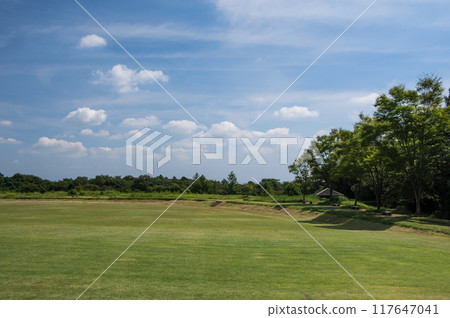「三重縣立森林」夏日風景 117647041