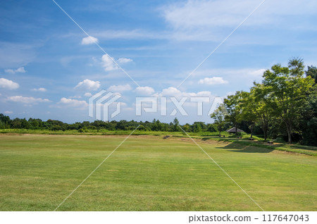 Summer scenery of "Mie Prefectural Forest" Summer scenery of "Mie Prefectural Forest" 117647043