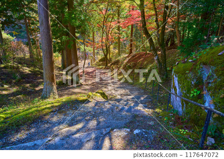 Autumn in Kai City, Yamanashi Prefecture: View of the 50 stone steps leading down from Rakanji Temple Autumn in Kai City, Yamanashi Prefecture: View of the 50 stone steps leading down from Rakanji Temple 117647072