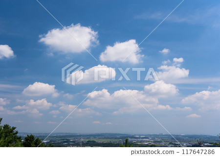 Summer sky seen from the observation deck of "Mie Prefectural Forest" 117647286