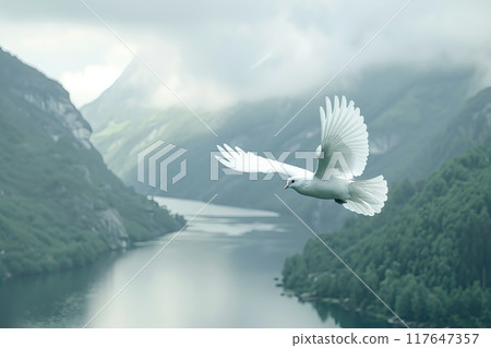 Flying white peace dove with spreading wings isolated on white background Generative AI 117647357