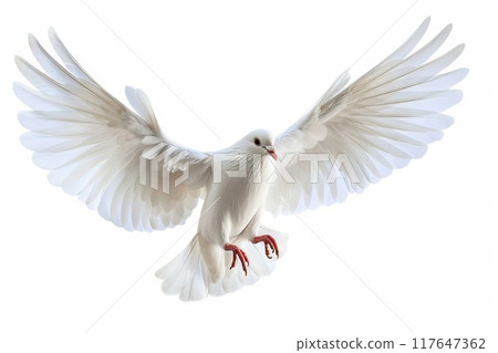 Flying white peace dove with spreading wings isolated on white background Generative AI Flying white peace dove with spreading wings isolated on white background Generative AI 117647362
