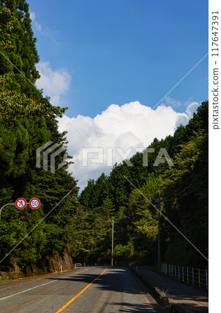Country road and summer sky 117647391