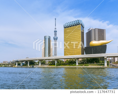 Tokyo Skytree seen from the Sumida River 117647731