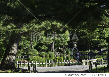 Beautiful fresh greenery in Kenrokuen Beautiful fresh greenery in Kenrokuen 117647911