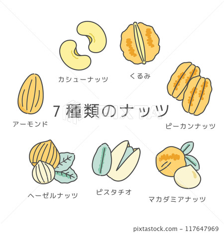 7種堅果插畫 117647969