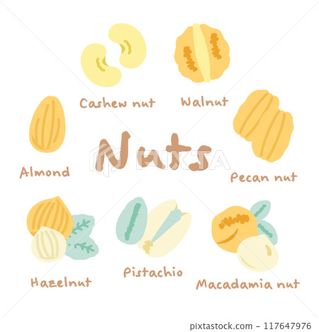 7種堅果插畫 7種堅果插畫 117647976