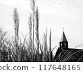 European-style building with pointed roofs in the grassland 117648165