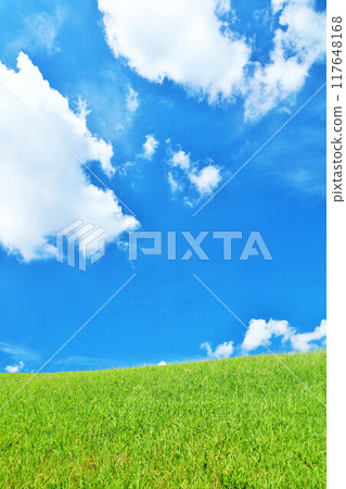 Refreshing summer blue sky and fresh green meadow landscape 117648168
