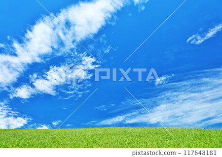 清爽的夏日藍天和清新的綠色草甸景觀 117648181