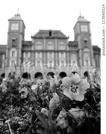 Flowers in the flowerbed and European-style architecture Flowers in the flowerbed and European-style architecture 117648524