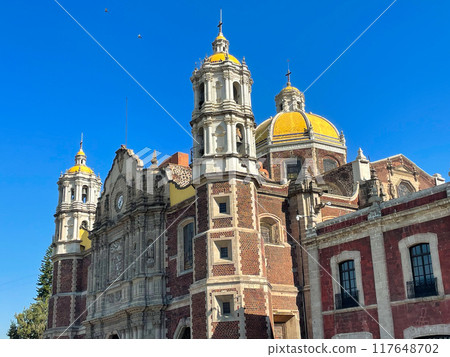 Mexico Basilica of Guadalupe 117648702