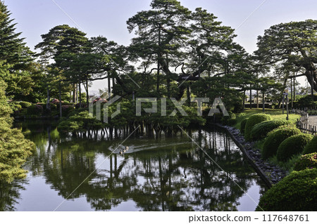 Beautiful fresh greenery in Kenrokuen with azaleas blooming 117648761