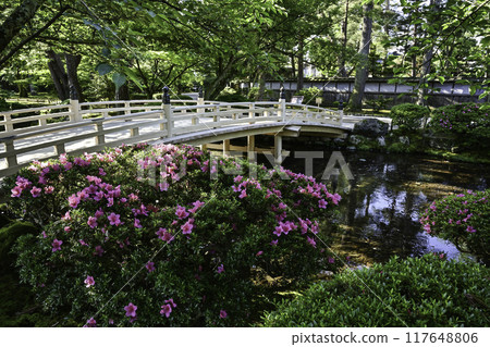 Beautiful fresh greenery in Kenrokuen with azaleas blooming Beautiful fresh greenery in Kenrokuen with azaleas blooming 117648806