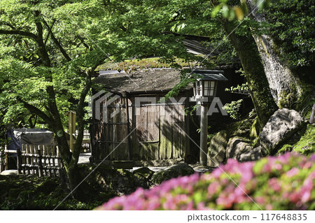 Beautiful fresh greenery in Kenrokuen with azaleas blooming Beautiful fresh greenery in Kenrokuen with azaleas blooming 117648835