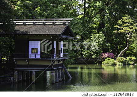 杜鵑花盛開的美麗清新綠色兼六園 117648917