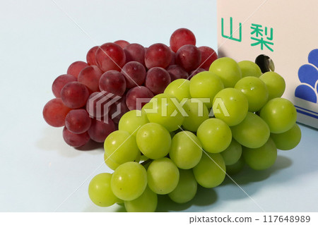 Beniizu 和 Shine Muscat 的特寫 Beniizu 和 Shine Muscat 的特寫 117648989