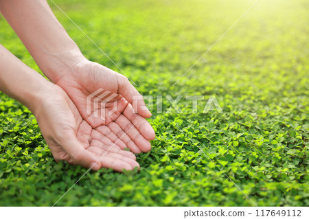 Hands on nature background. ecology and environment concept. save our planet, world environment day, world earth day. sustainable development and green business. 117649112
