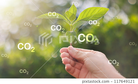 Hand holding with tree for co2, ESG and net zero. energy saving concept. save our planet, world environment day, world earth day. sustainable development and green business. 117649121