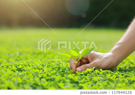 Hand holding with tree for co2, ESG and net zero. energy saving concept. save our planet, world environment day, world earth day. sustainable development and green business. 117649128