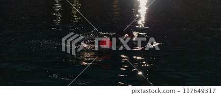 A determined professional triathlete undergoes rigorous night time training in cold waters, showcasing dedication and resilience in preparation for an upcoming triathlon swim competition 117649317