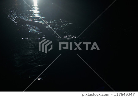A determined professional triathlete undergoes rigorous night time training in cold waters, showcasing dedication and resilience in preparation for an upcoming triathlon swim competition A determined professional triathlete undergoes rigorous night time training in cold waters, showcasing dedication and resilience in preparation for an upcoming triathlon swim competition 117649347