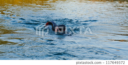 Triathlon athlete swimming on lake in sunrise wearing wetsuit 117649372