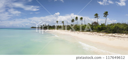 Tropical beach and turquoise ocean in Saona island 117649612