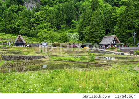 富山縣五箝山相倉合掌造村第1停車場旁的稻田風景世界遺產 117649664