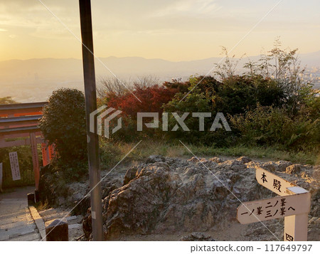 Kyoto Fushimi Inari Shrine Torii Evening 117649797