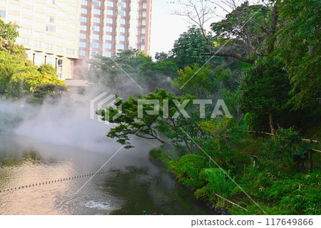 View of Chinzanso 117649866