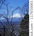 Beautiful white snow-covered World Heritage Mt. Fuji - vertical composition 117650065