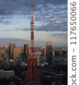 Tokyo Tower and cityscape at dusk, vertical composition 117650066