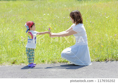 A boy receives wildflowers from his mother in a park with fresh greenery A boy receives wildflowers from his mother in a park with fresh greenery 117650202