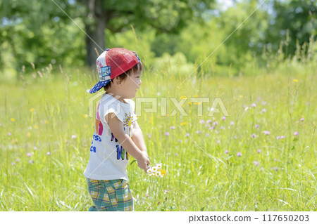 A boy playing with wildflowers in a park with fresh greenery 117650203