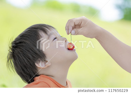 一個男孩在新鮮的綠色公園吃櫻桃 一個男孩在新鮮的綠色公園吃櫻桃 117650229