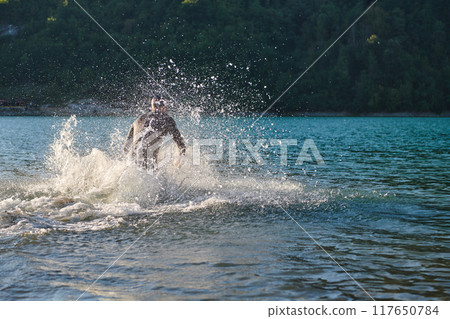 Triathlon athlete starting swimming training on lake Triathlon athlete starting swimming training on lake 117650784