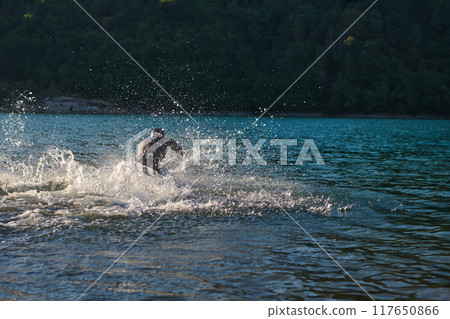 Triathlon athlete starting swimming training on lake Triathlon athlete starting swimming training on lake 117650866