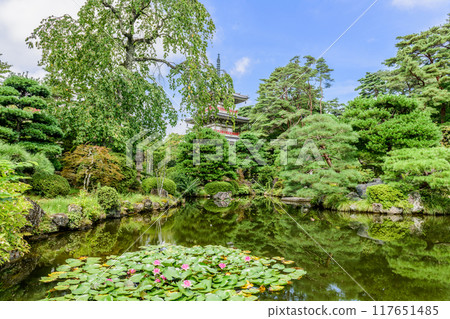 仙台輪王寺 夏天 仙台輪王寺 夏天 117651485