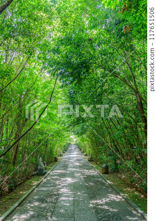 仙台輪王寺 夏天 117651506