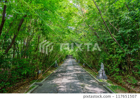 仙台輪王寺 夏天 117651507