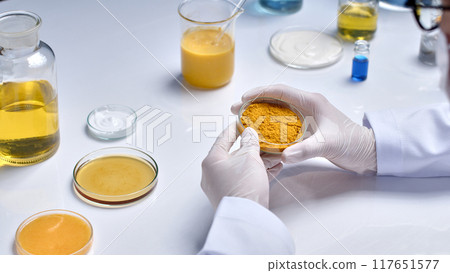 Scientist experiment for cosmetic developing in laboratory, a petri dish contains turmeric powder being held in scientist hands with medical gloves. Photo was taken from above on white lab table top 117651577