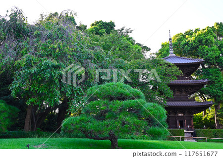 View of Chinzanso 117651677