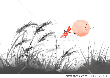 Sunset, Japanese silver grass and a red dragonfly 117651951