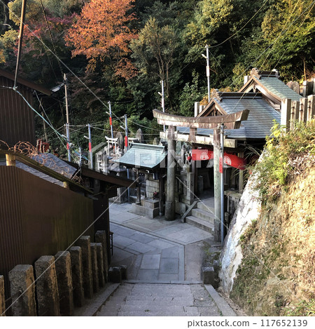 京都伏見稻荷神社鳥居 117652139