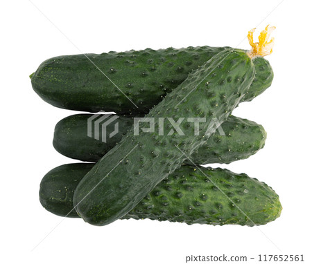 fresh cucumbers isolated on white background 117652561